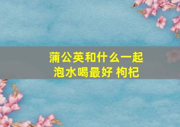 蒲公英和什么一起泡水喝最好 枸杞